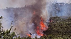 Σε δίκη πρώην εποχικός πυροσβέστης για τις 10 πυρκαγιές στη Γιάννουλη 